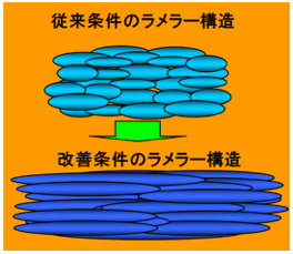 ラメラ―構造 イメージ