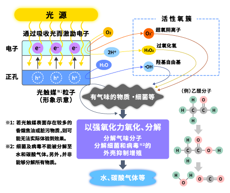 原理图