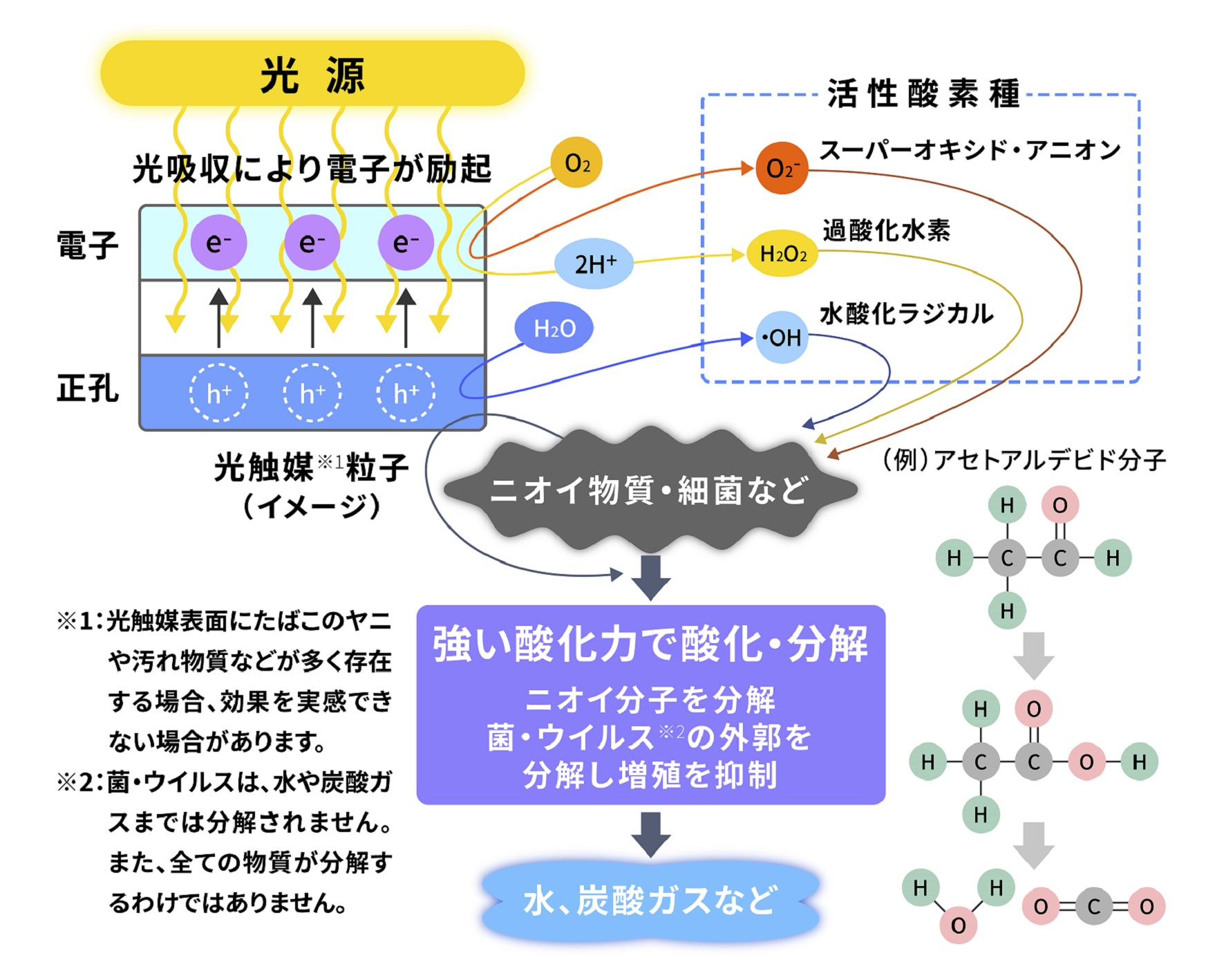 メカニズムの図